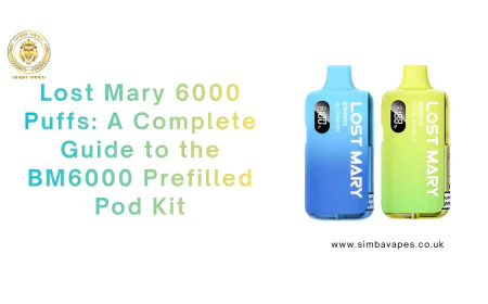 Lost Mary 6000 Puffs: A Complete Guide to the BM6000 Prefilled Pod Kit