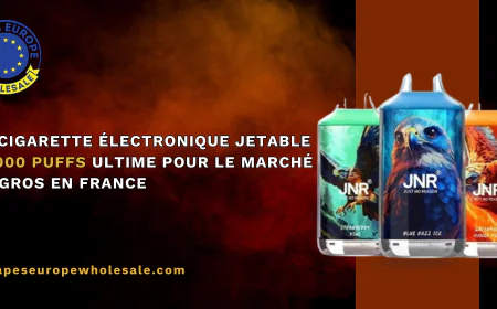 La cigarette électronique jetable 16 000 puffs ultime pour le marché de gros en France