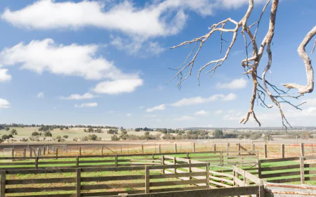 Quality Wood And Chain Link Fencing For Privacy And Security