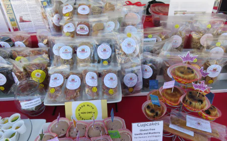 Best And Affordable Artificial Preservative-Free Dog Treats in Delray Beach