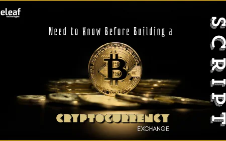 Everything You Need to Know Before Building a Cryptocurrency Exchange Script