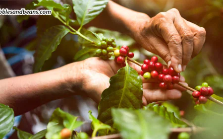 Sakleshpur For Curious Young Minds - A Learning Experience