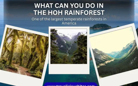 What Can You Do in the Hoh Rainforest