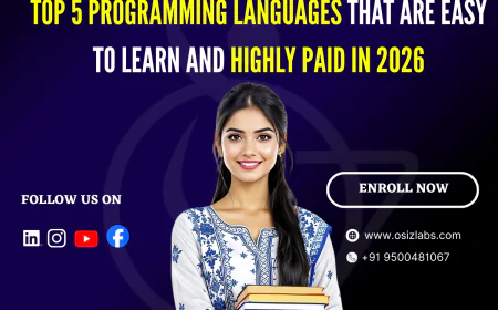 Top 5 Programming Languages That Are Easy to Learn and Highly Paid in 2026