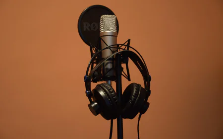 The Art of Selecting Professional Video Voice Overs