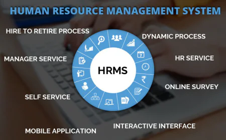 How to Choose the Best Human Resource Management Software for Your Business in 2026