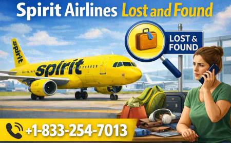 Spirit Airlines Lost and Found Guide for Passengers