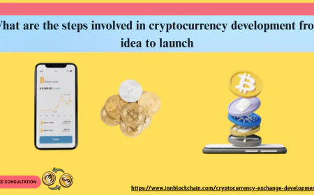 What are the steps involved in cryptocurrency development from idea to launch