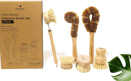What Makes a Dish Brush Set Eco-Friendly?