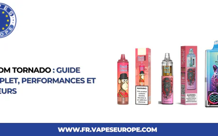 RandM Tornado : Guide Complet, Performances et Saveurs