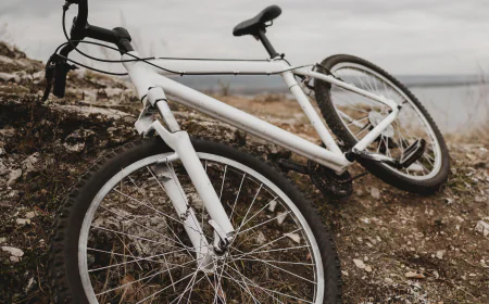 Why Silverback Bikes Are a Top Choice for Riders