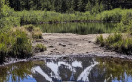 What Makes Transformational Island Retreat Experiences the Key to Your Inner Awakening?