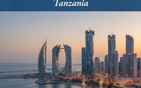 Cameroon eVisa Guide for the Travellers of Tanzania