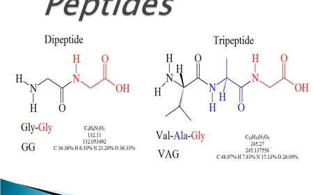 How Peptides Work Improve Health Healing Anti Aging Benefits
