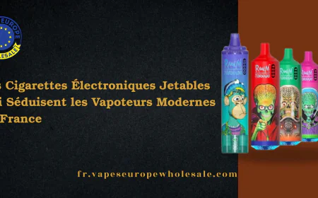 Les Cigarettes Électroniques Jetables Qui Séduisent les Vapoteurs Modernes en France