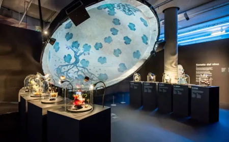 Rent a Geodesic Dome for Events and Brand Activations