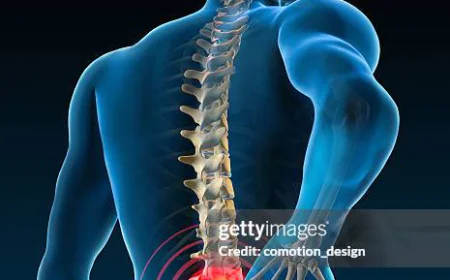 Trusted Care for Lower Back Pain Relief in Hisar