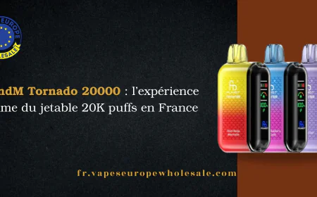 RandM Tornado 20000 : l’expérience ultime du jetable 20K puffs en France