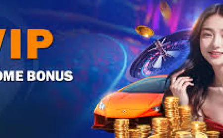 Differences Between Local and International Casino Sites for Malaysia