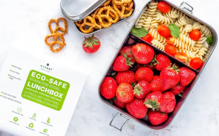 Top 10 Benefits of Using a Lunch Box with Compartments