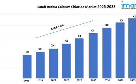 Saudi Arabia Calcium Chloride Market Size Expansion, Growth Trends and Research Report 2025-2033