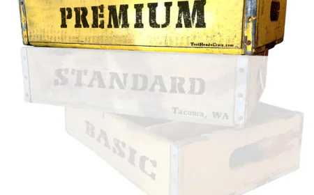 A New Ride Every Month: The Rise of Model Car Subscription Boxes