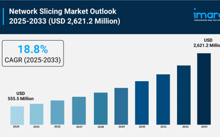 Network Slicing Market Size, Share and Trends Forecast 2025-2033