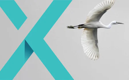 The Role of Operational Expertise in Modern Air Transport