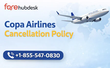 How long can you cancel a flight on copa