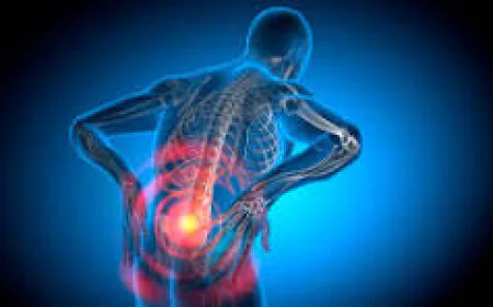 Best Lower Back Pain Specialist Hisar for Long-Term Relief