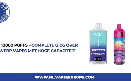 Vape 10000 Puffs – Complete Gids over Wegwerp Vapes met Hoge Capaciteit