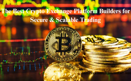 The Best Crypto Exchange Platform Builders for Secure & Scalable Trading