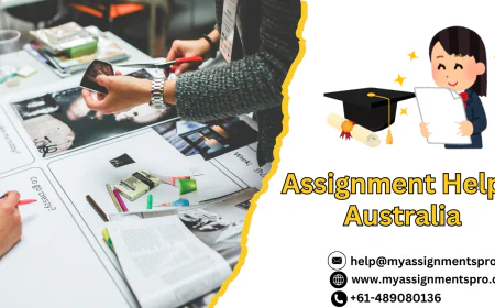 Assignment Help Australia – Your Complete Guide to Academic Success