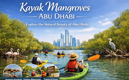 Kayaking Abu Dhabi: A Complete Nature and Mangrove Adventure Guide