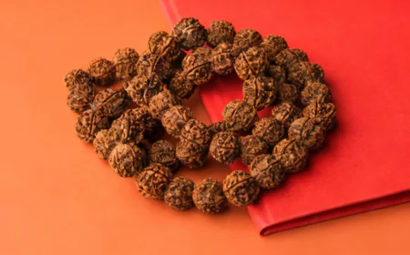 Rudraksha Calculator – Find the Right Rudraksha Using Astrology & Numerology