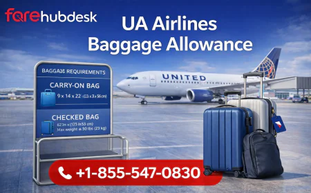 How Much Is the United Checked Bag Fee?