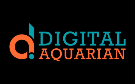 Digital Aquarian – Professional SEO Services in Karachi for Business Growth