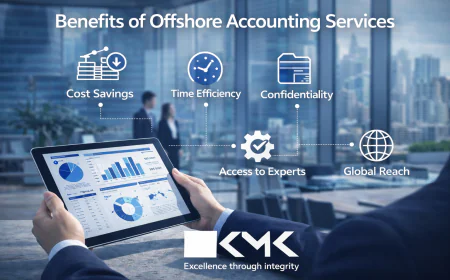 Why Growing Companies Prefer Offshore Accounting Services for Flexibility? 