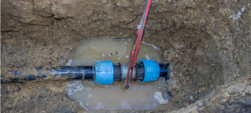 Drains & Sewers Tampa, FL: A Complete Informational Guide