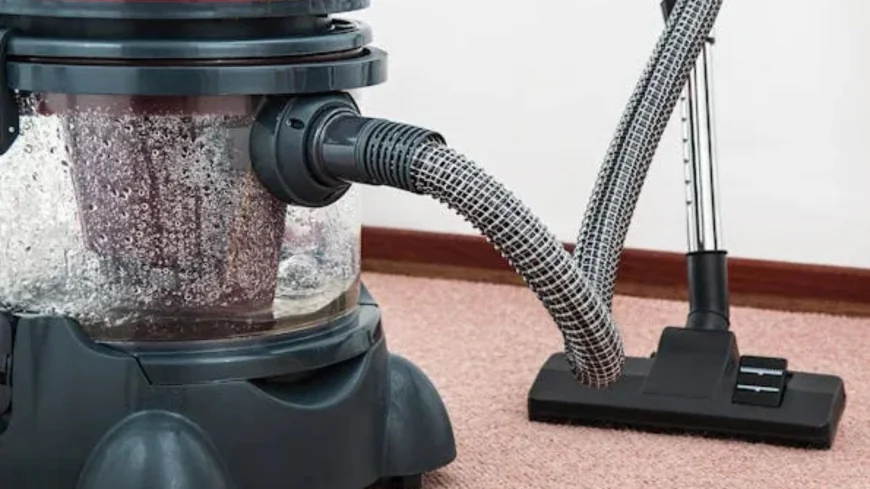 Burbank, CA, Carpet Cleaning and the Quiet Science of What Lingers Beneath Our Feet