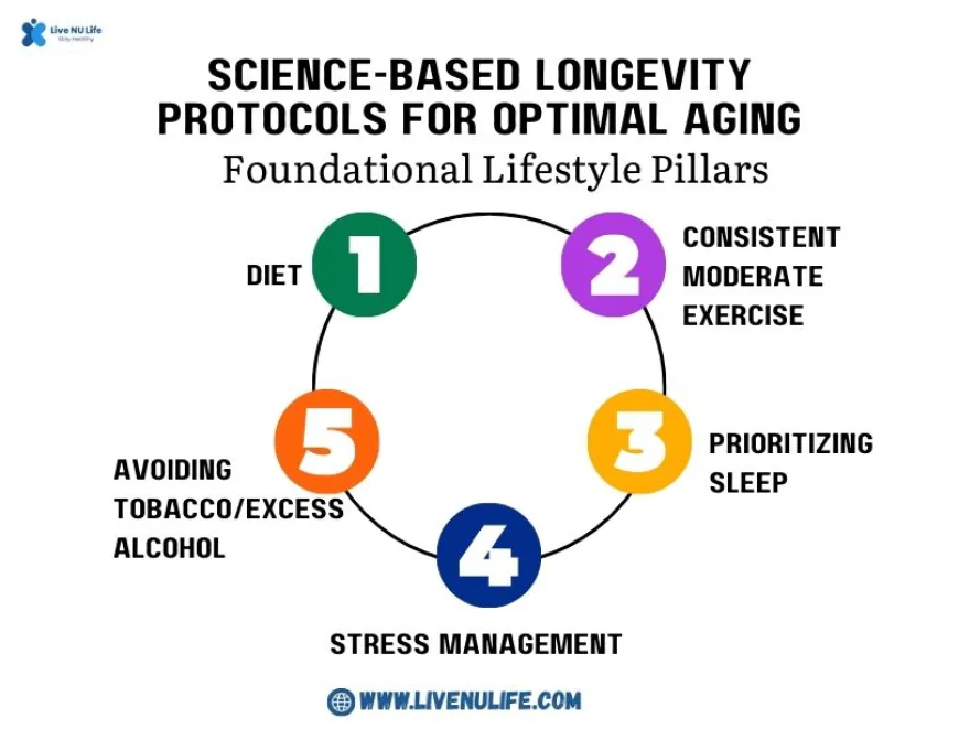 Science-Based Longevity Protocols for Optimal Aging