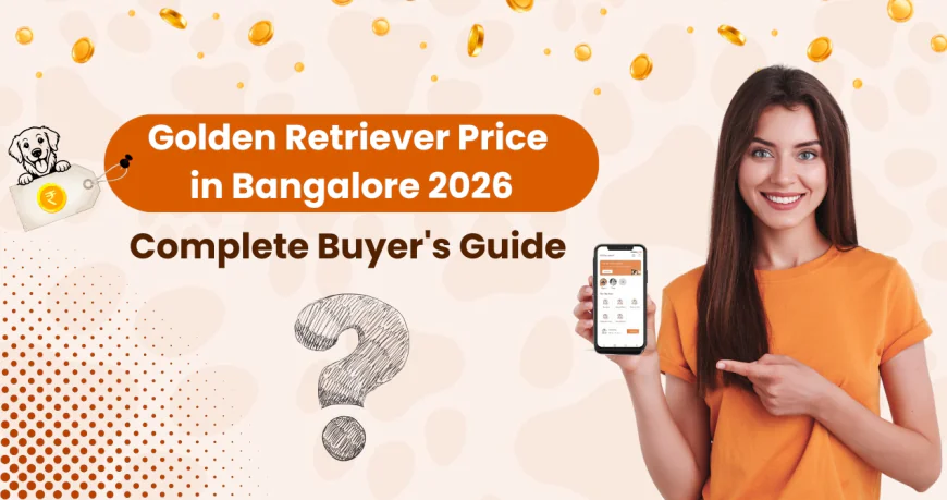 Golden Retriever Price in Bangalore 2026: Complete Buyer's Guide
