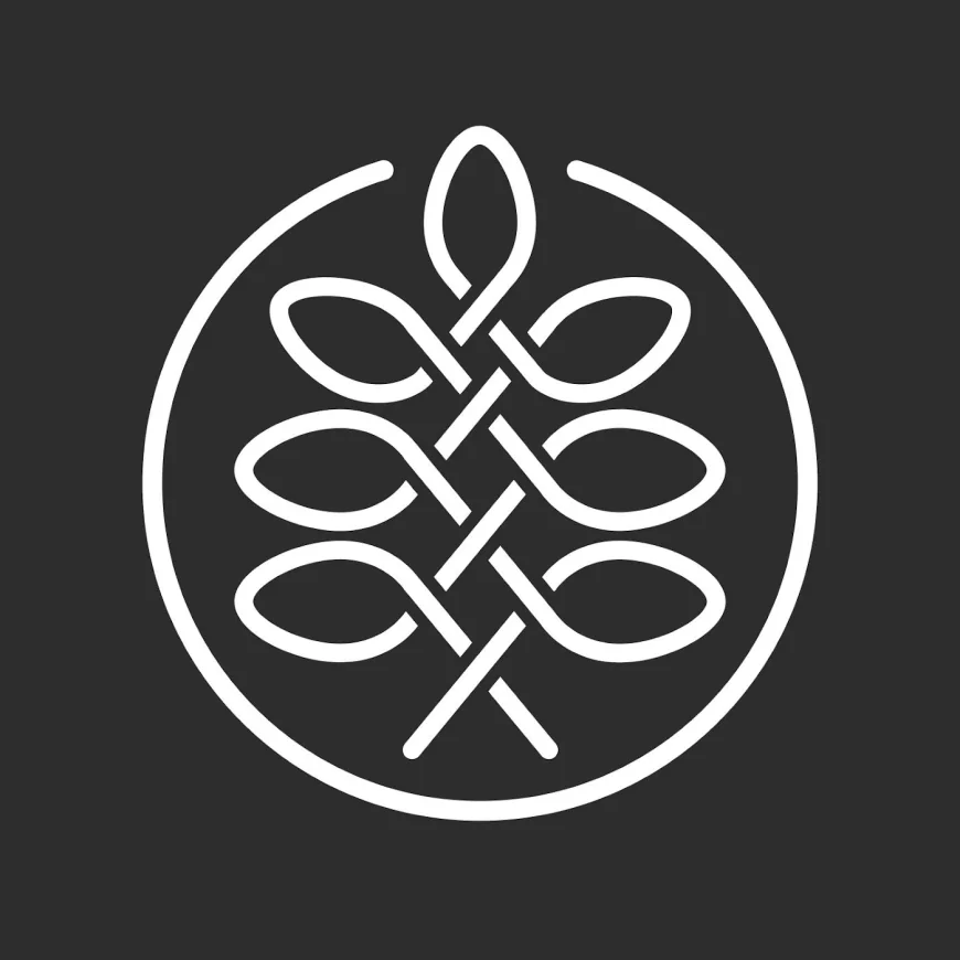 Black Locust Fence Boards: A Naturally Durable Choice for Long-Lasting Fencing