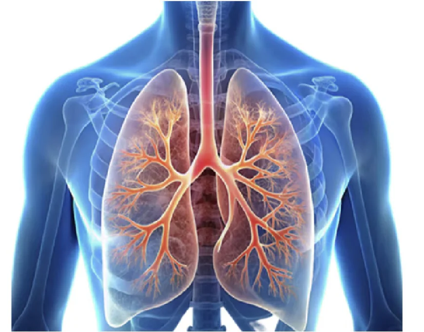Strengthening Your Breathing: A Complete Guide to Lung Training Tools