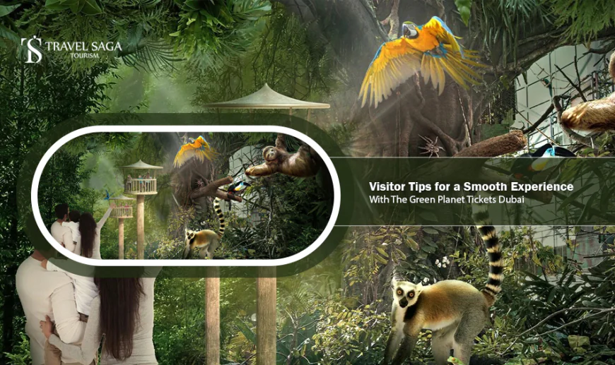 Visitor Tips for a Smooth Experience with The Green Planet Tickets Dubai