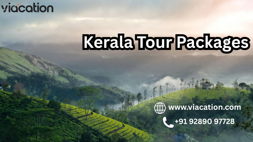 Why Kerala Tour Packages Are a Perfect Fit for Family Holidays in 2026