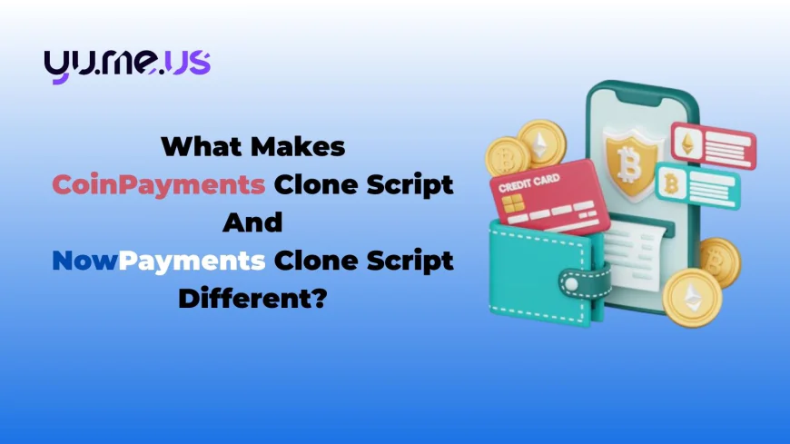 What Makes CoinPayments Clone Script And NowPayments Clone Script Different?