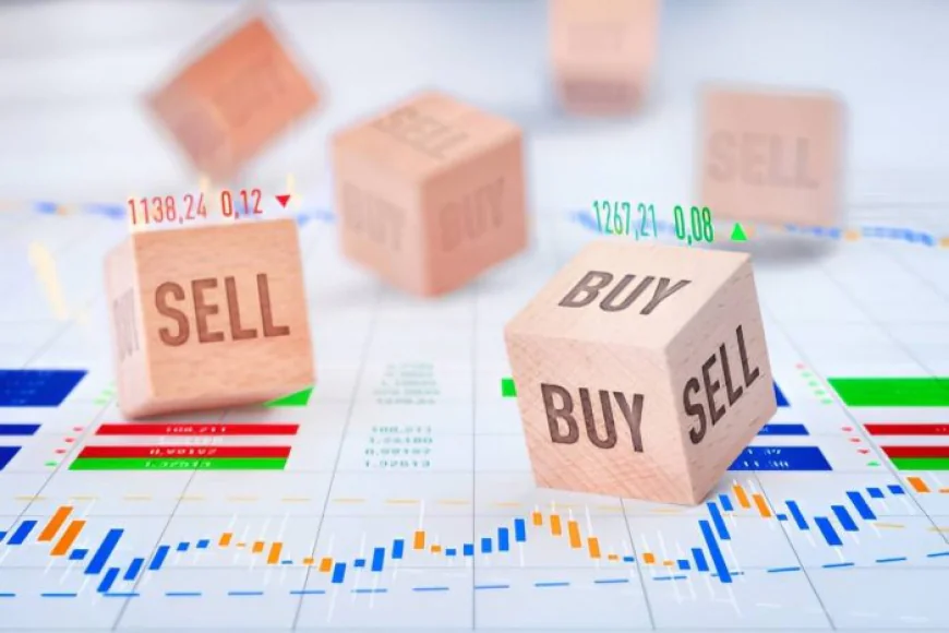 Business Brokers: Buy or Sell A Business in Newmarket