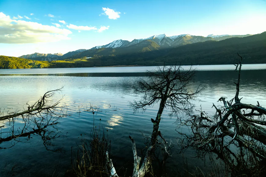 Remote Luxury and Raw Nature on the Rara Lake Jeep Tour
