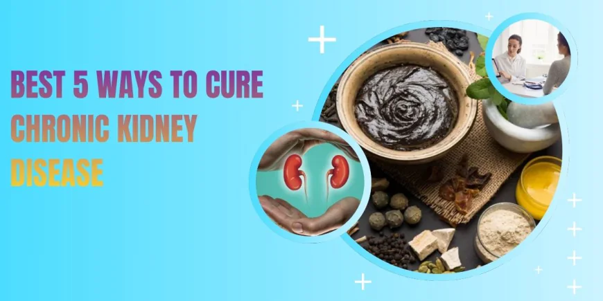 Cure Chronic Kidney Disease